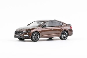 Skoda Octavia IV RS (2020) – Braun-Bernstein-Metallic
